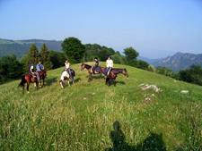 Italy-Northern Italy-Lago di Garda Riding Holidays